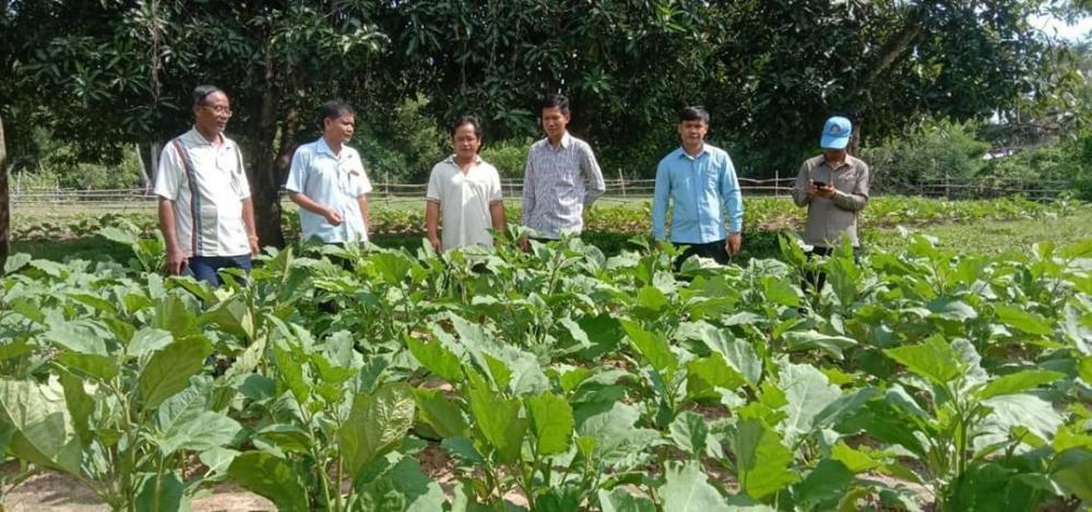 អភិបាលក្រុងស្វាយរៀង ជំរុញលើកទឹកចិត្តដល់ប្រជាពលរដ្ឋឲ្យដាំដំណាំរួមផ្សំ និងចិញ្ចឹមសត្វក្នុងអំឡុងពេលកូវីត១៩