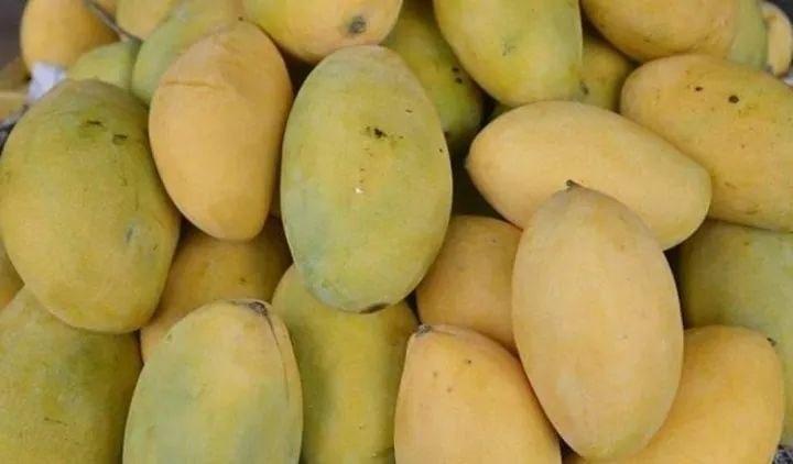 ផ្លែស្វាយក្នុងប្រទេសកម្ពុជា៥០ម៉ឺន តោនគ្រោងនឹងនាំចេញទៅកាន់ទីផ្សារប្រទេសចិនក្នុងពេលឆាប់ៗ