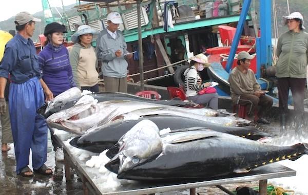 វៀតណាមរកចំណូលបានជិត១,១ពាន់លានដុល្លារអាម៉េរិក ពីការនាំចេញអាហារសមុទ្រ ក្នុងពេល២ខែដំបូងឆ្នាំ២០១៩