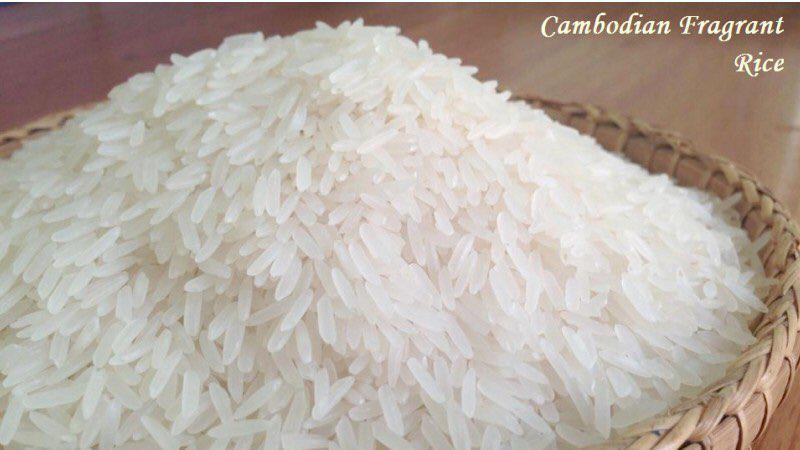 រយៈពេល១១ខែ ឆ្នាំនេះ កម្ពុជានាំចេញអង្ករជិត៥០ម៉ឺនតោន ធ្លាក់ចុះ១៣ភាគរយ ធៀបនឹងឆ្នាំចាស់