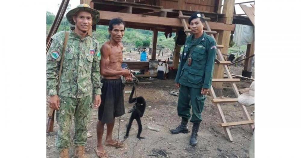 សត្វទោចថ្ពាល់លឿង ១ក្បាល ត្រូវបានដោះលែងចូលក្នុងជម្រកព្រៃធម្មជាតិវិញ