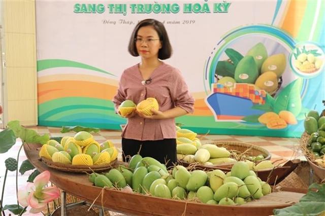 វៀតណាមផ្តើមនាំចេញស្វាយទៅសហរដ្ឋអាម៉េរិកចំនួន៨តោន ជាលើកដំបូង
