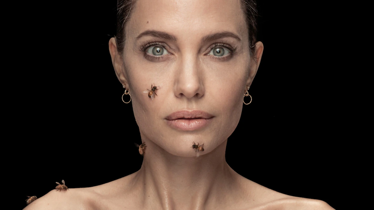 Angelina Jolie កំពុងធ្វើការជាមួយអង្គការយូណេស្កូ និងហ្គឺរឡេន ស្តីពីគំនិតផ្តួចផ្តើមស្ត្រីដើម្បីសត្វឃ្មុំ