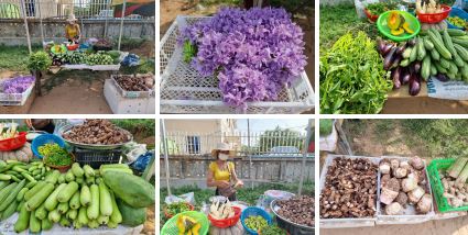 អ្នកធ្លាប់មានទំនាក់ទំនងជាមួយបុគ្គលិកធ្វើការ នៅធនាគារ ស៊ិន ហាន សាខាមុនីវង្ស ត្រូវតាមដានសុខភាព និងធ្វើចត្ដាឡីស័ក