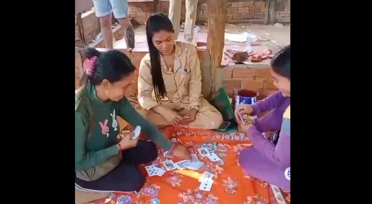 វត្តមានសត្វរមាំង ក្នុងតំបន់ការពារធម្មជាតិនៃព្រះរាជាណាចក្រកម្ពុជា (មានវីដេអូ)