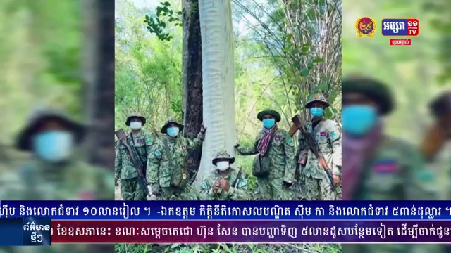 ដើមភ្លៅនាង ជាច្រើនដើមដែលមានលក្ខណៈយ៉ាងរលោងស្រិល ហើយដែលដើមខ្លះ មានកម្ពស់រហូតដល់២០ម៉ែត្រ