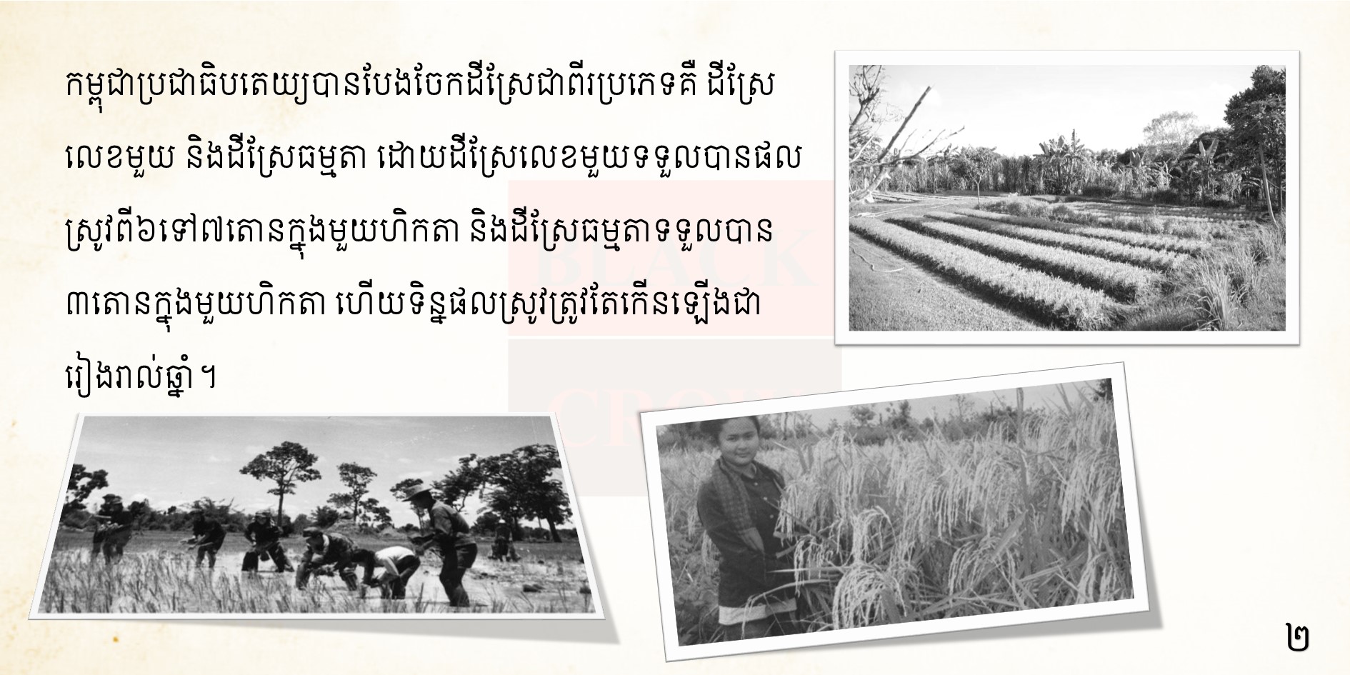 តើគ្រូបង្រៀនក្នុងសម័យខ្មែរក្រហមជាគ្រូដូចម្ដេច?