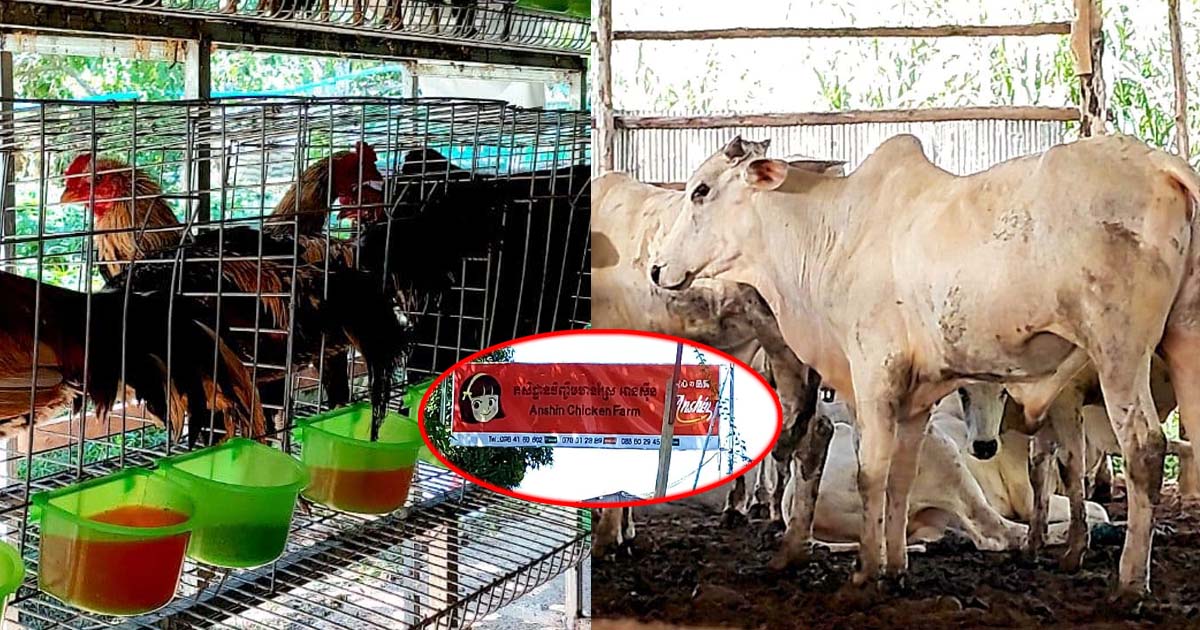 លោកជំទាវ មាស សាឯម រដ្ឋលេខាធិការ នៃទីស្តីការគណៈរដ្ឋមន្ត្រី មានវិជ្ជមានកូវីដ១៩ រកឃើញថ្ងៃទី១២ ឧសភា ២០២១