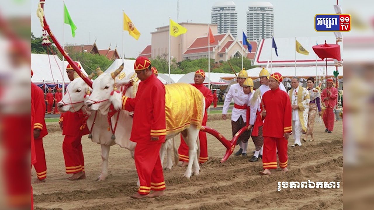 ព្រះរាជពិធីច្រត់ព្រះនង្គ័លរបស់កម្ពុជា បន្តផ្អាកក្នុងឆ្នាំនេះទៀត (Video Inside)