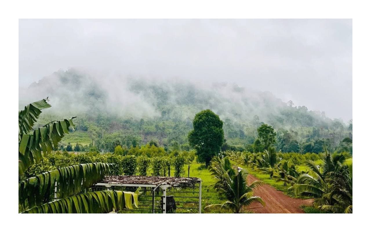 សម្រស់ដ៏ស្រស់ត្រកាល អមដោយភ្នំព័ទ្ធជុំដោយផ្សែងអ័ព្ទ មានព្រៃព្រឹក្សា បក្សីបក្សា ចំការដំណាំគ្រប់ប្រភេទ ⛅️🌻🌳🦜🦚