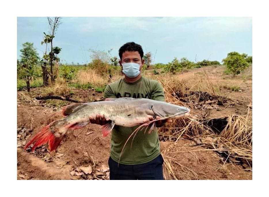 រួមគ្នាការពារត្រីមេពូជក្នុងរដូវបិទនេសាទ