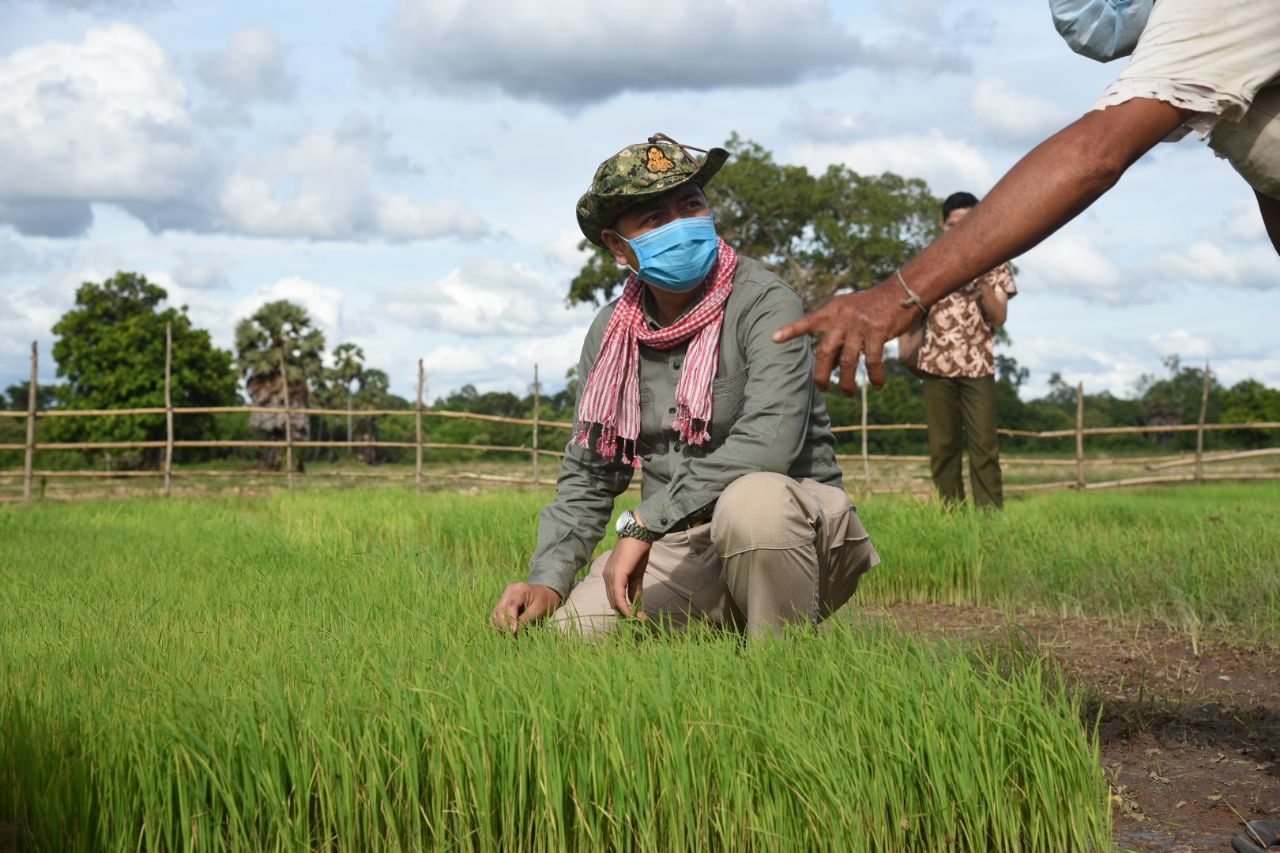 ស្រូវមិត្តភាពសង្គ្រោះមិត្តភាពចូលរួមការពារនិងអភិរក្សធនធានធម្មជាតិនិងបង្កើនចំណូលរបស់ពលរដ្ឋ