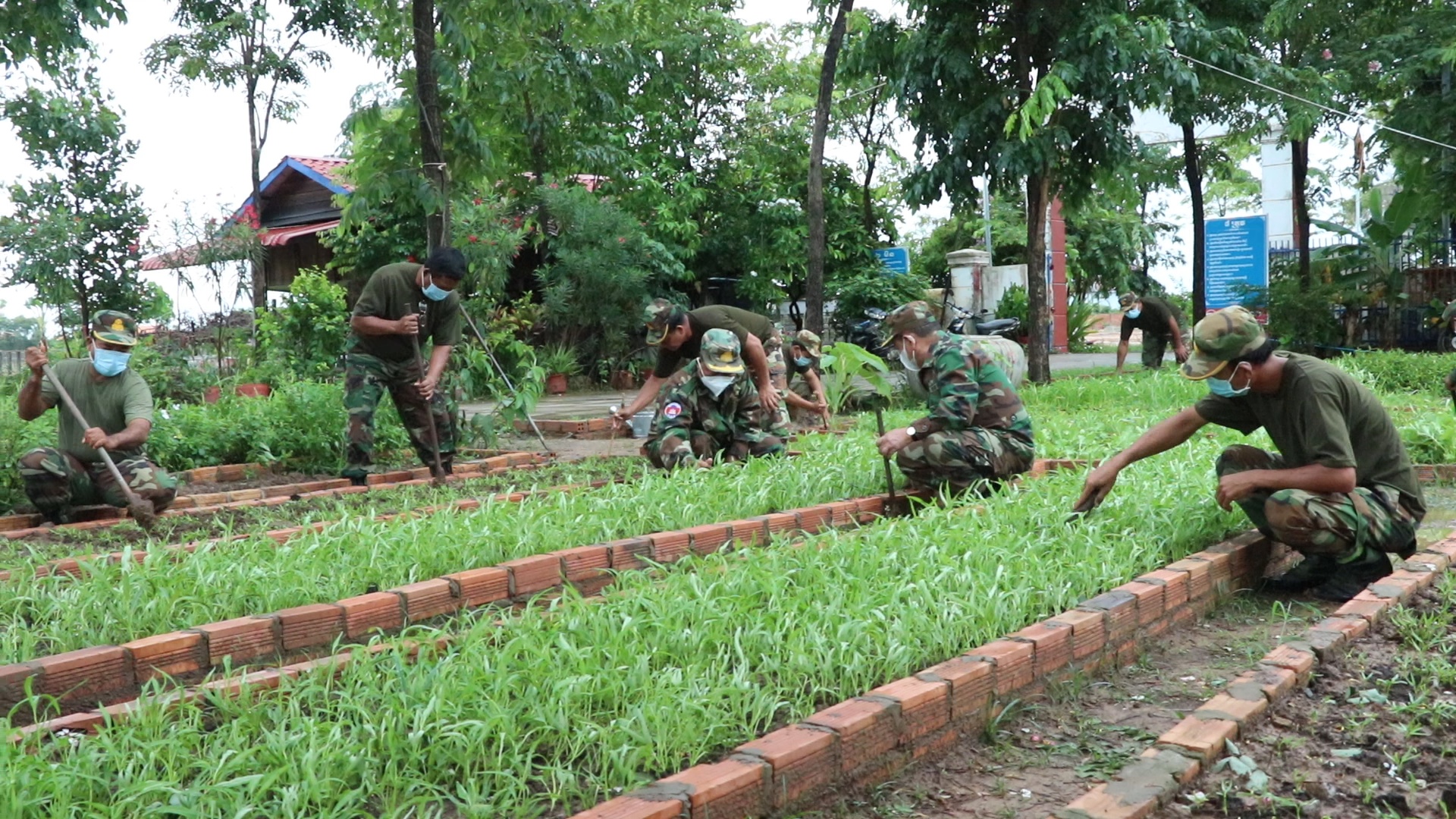 កងទ័ពតំបន់ប្រតិបត្តិការសឹករងកំពង់ធំបង្កបង្កើនផលចិញ្ចឹមសត្វ លើកកម្ពស់ជីវភាពរស់នៅរបស់កងទ័ពក្នុងបរិបទកូវីដ-19