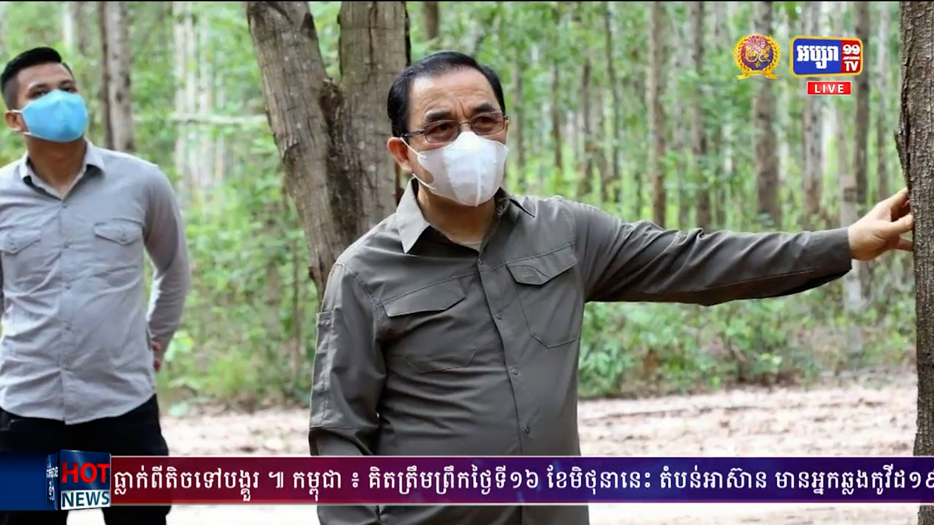 រាជរដ្ឋាភិបាល ជំរុញលើកទឹកចិត្ត ឲ្យមានការវិនិយោគ ដាំឈើគ្រប់រូបភាព ទាំងការដាំបែបលក្ខណៈគ្រួសារ និងការដាំ ដោយវិស័យឯកជន