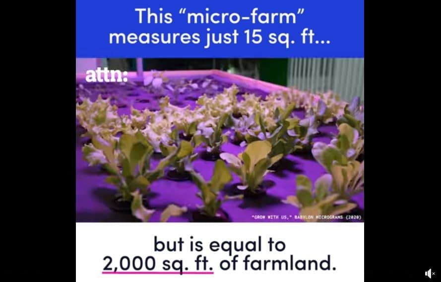 កសិកម្មបញ្ឈរ “vertical farming” ប្រើប្រាស់ផ្ទៃដីត្រឹមតែ ១.៤ម៉ែត្រការ៉េប៉ុណ្ណោះ តែអាចផលិតបានរុក្ខជាតិ ៥០០ដើមក្នុងមួយខែ