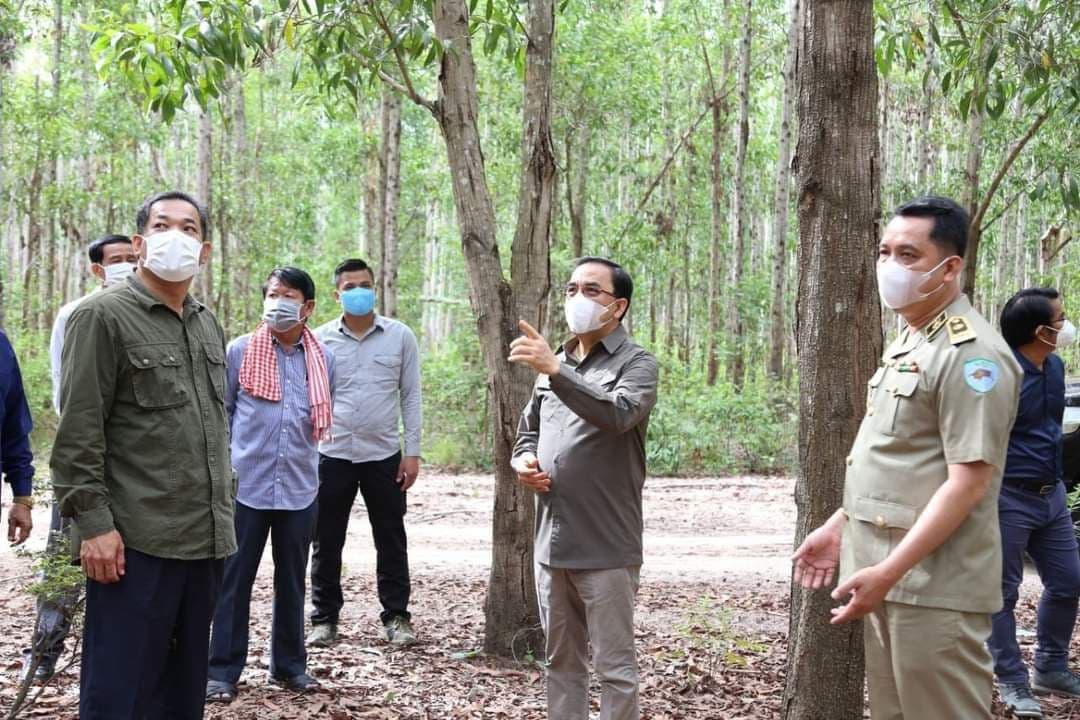 ឯកឧត្តម វេង សាខុន បានជំរុញ និងលើកទឹកចិត្តឲ្យមានការវិនិយោគដាំដើមឈើគ្រប់រូបភាព ដើម្បីបង្កើតការងារនៅក្នុងមូលរដ្ឋានជូនបងប្អូនប្រជាពលរដ្ឋ