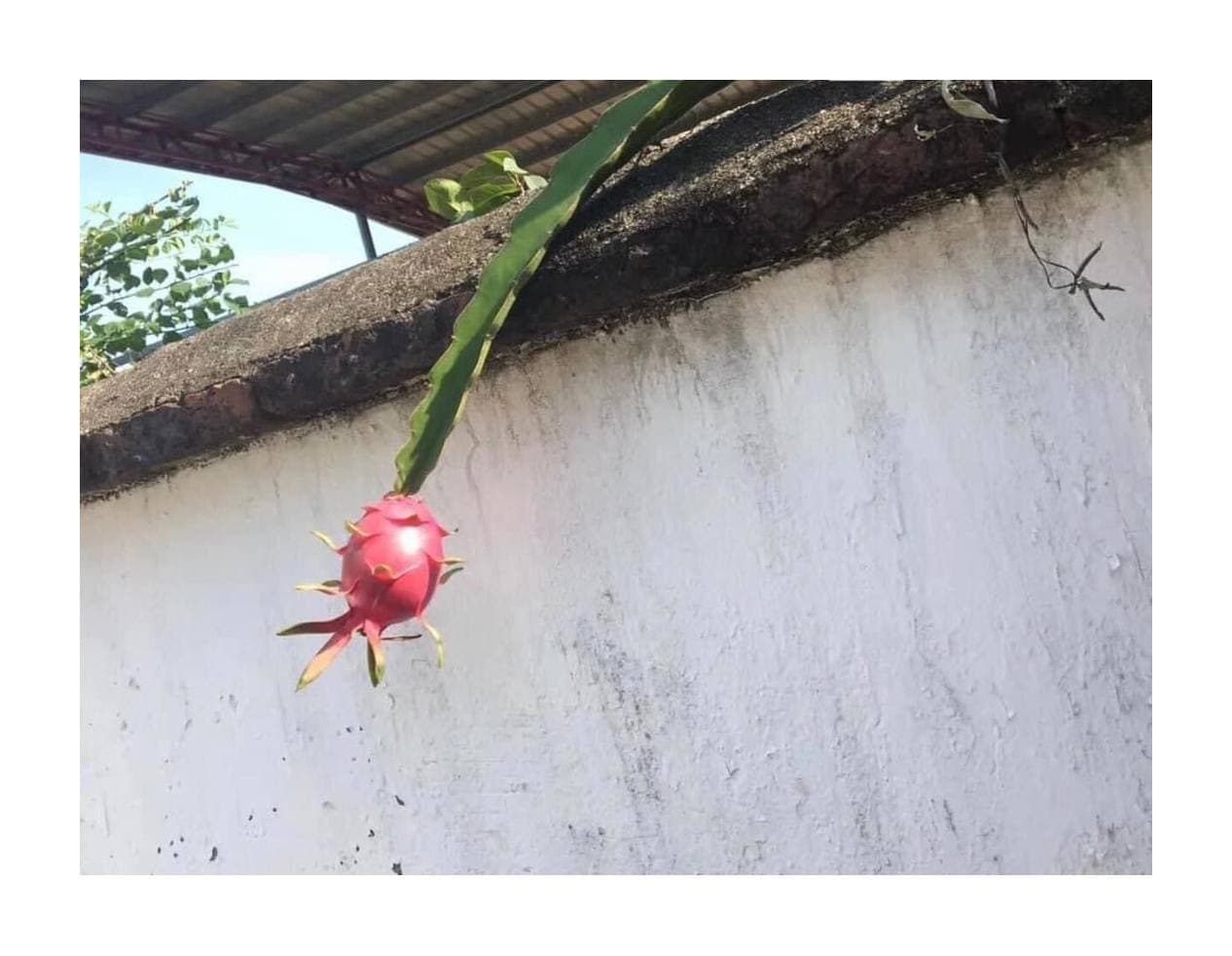 “ហូបទៅបង របស់យេីងហេីយ” 😂