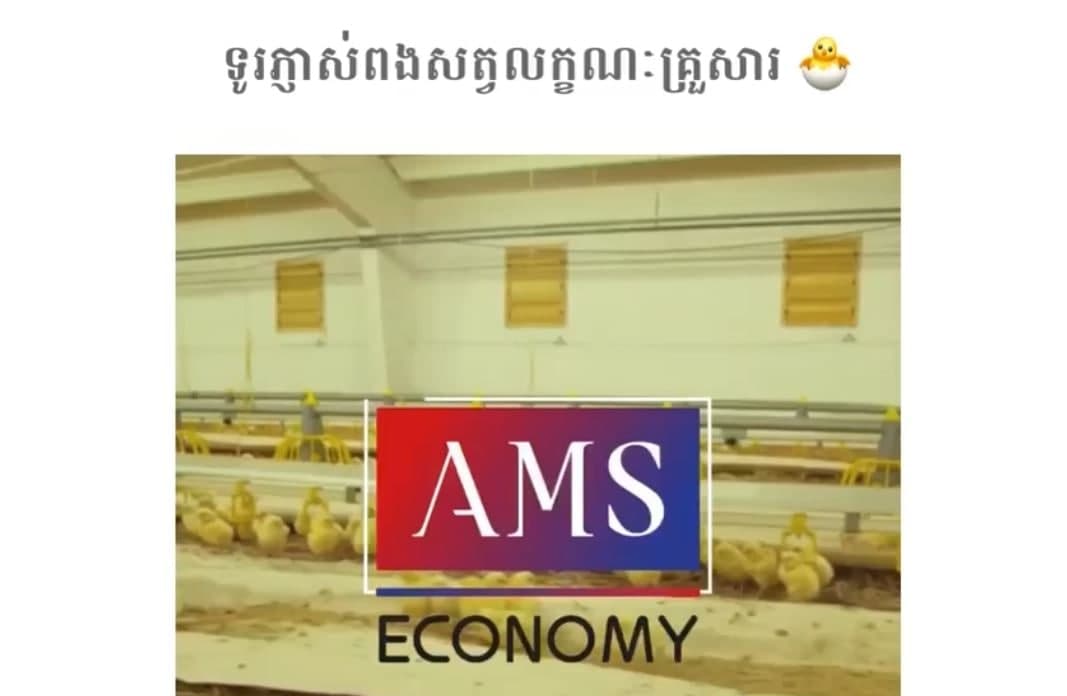 ទូភ្ញាស់ពងសត្វលក្ខណៈគ្រួសារ 🐣
