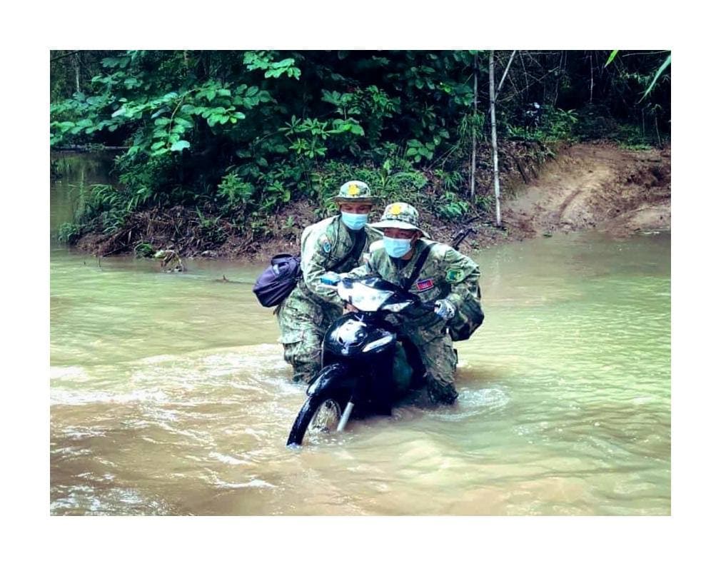 វីរភាពឆ្មាំព្រៃ