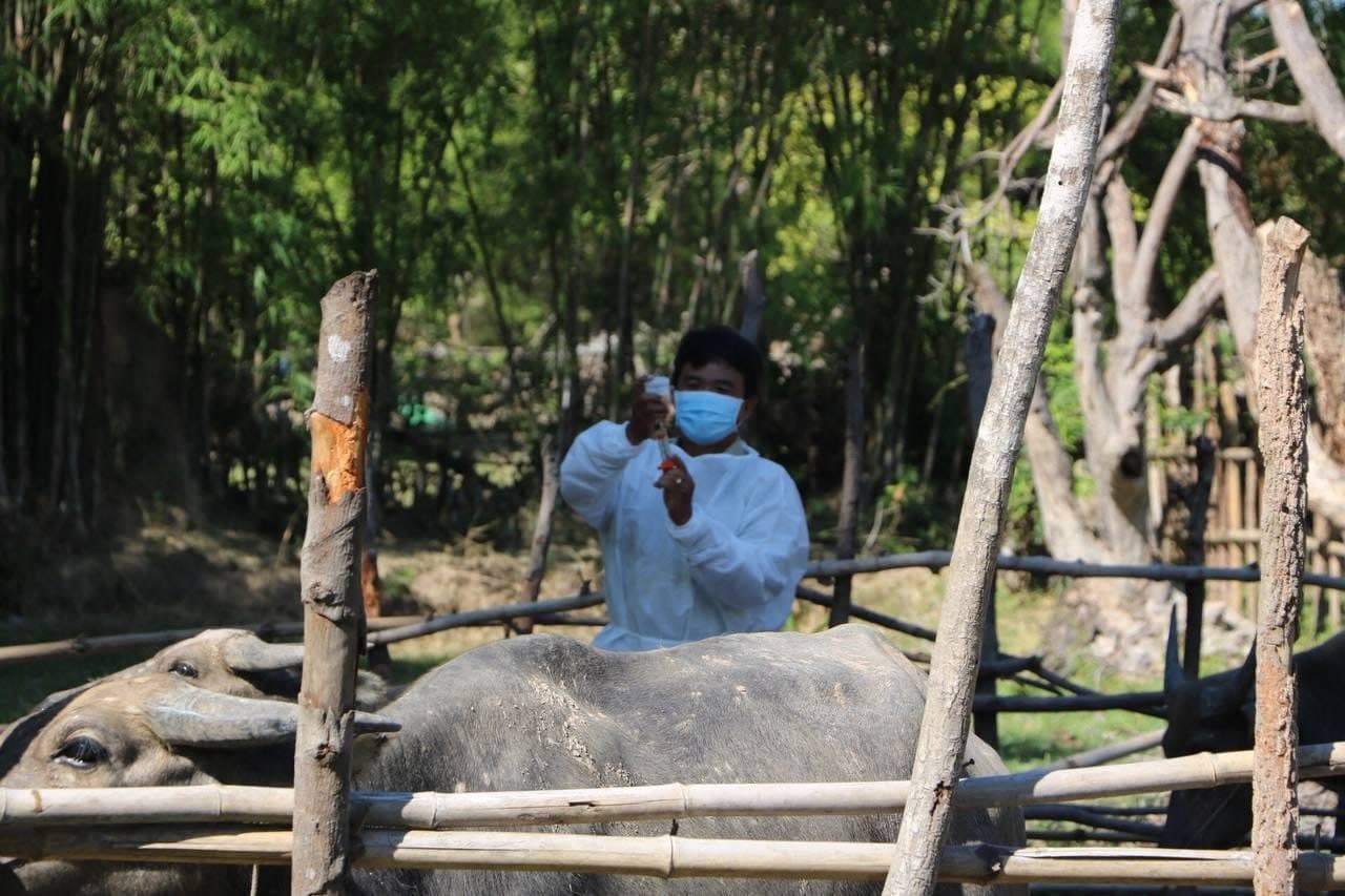 ប្រទេសចិន យល់ព្រមផ្ដល់បច្ចេកទេសដល់កម្ពុជា ក្នុងការផលិតវ៉ាក់សាំងជំងឺសារទឹក និងជំងឺអុតក្តាម គោ ក្របី ដោយខ្លួនឯង