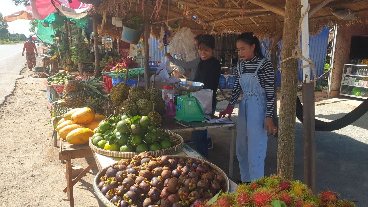 ផ្លែឈើមកពីតំបនតំបន់ ភ្នំវល្លិ៍ កំពុងពេញនិយម ហើយដាក់លក់តាមផ្លូវ លេខ៣៣ ល្បីថាមានរស់ជាតិឆ្ងាញ់