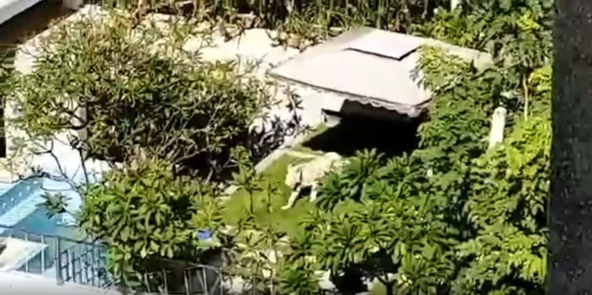 មតិប្រជាជន