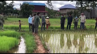 រដ្ឋបាលស្រុកសៀមប៉ាង មានកិច្ចប្រជុំ បង្កើតគណៈកម្មការចំពោះកិច្ច គាំទ្រអនុវត្តគម្រោងស្រូវមិត្តភាពសង្គ្រោះសត្វព្រៃតំបន់សៀមប៉ាង (មានវីដេអូ)
