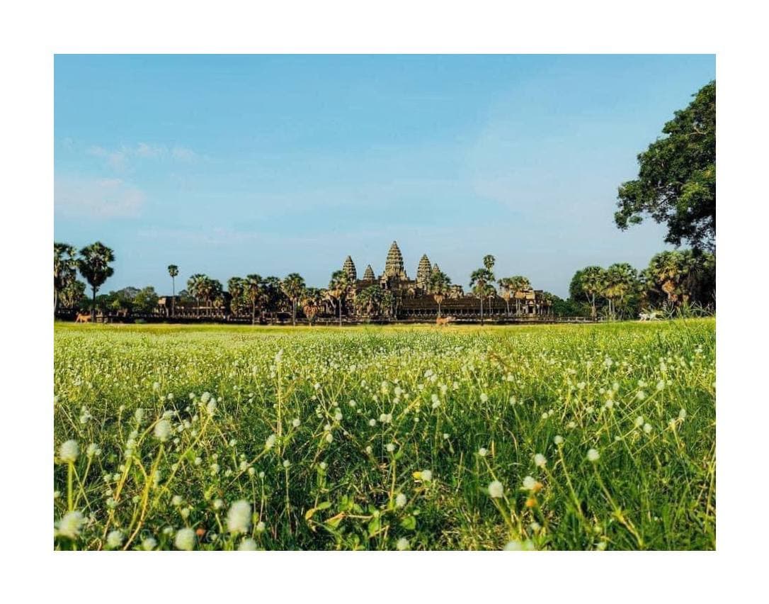 ប្រាសាទអង្គរវត្ត ២០២១