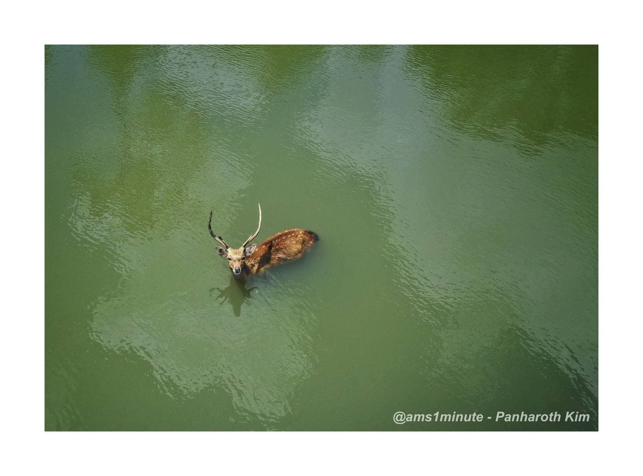 ស្រុកពេជ្រាដា ខេត្តមណ្ឌលគិរី 📍