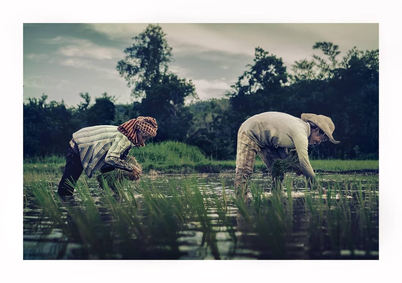 ប្រទេសជាតិមួយរីកចម្រើន និងមានសណ្តាប់ធ្នាប់ ពឹងផ្អែកលើការខំប្រឹងប្រែងធ្វើការងារ និងប្រកបមុខរបរអាជីវកម្មរបស់ពលរដ្ឋ ច្រើនជាងការខំប្រឹងជេរប្រទេច បំបែកបំបាក់សាមគ្គីភាព និងបង្ករចលាចលដោយពលរដ្ឋ