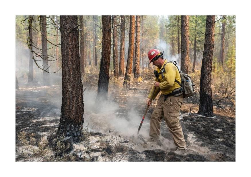 នៅរដ្ឋ Oregon 🇺🇸 ភ្លើងឆេះព្រៃ “The Bootleg Fire” បានឆេះរាលដាលលើផ្ទៃដីជាង ៣០ម៉ឺនហិចតា