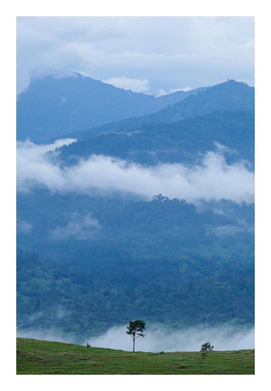 ម្នាក់ឯងមិនស្លាប់ទេ 🌳