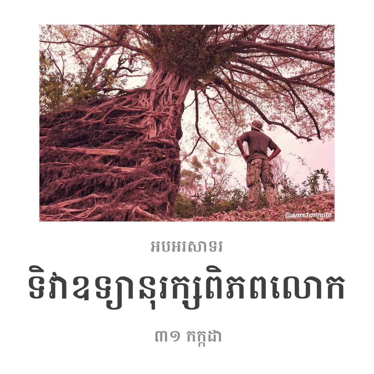 សូមអរគុណនូវការលះបង់កម្លាំងកាយចិត្ត និងយកជីវិតទៅប្រថុយ ដើម្បីការពារ និងអភិរក្សធនធានធម្មជាតិ 🇰🇭🇰🇭🇰🇭