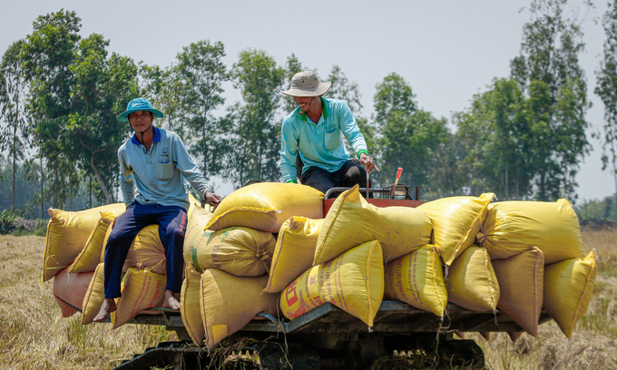 តម្លៃ​អង្ករ​នាំចេញ​​របស់វៀតណាម​ចុះថោក​ខ្លាំង​ពុំ​ធ្លាប់​មាន​ ​ក្នុង​ពេល​១​៨​ខែ​