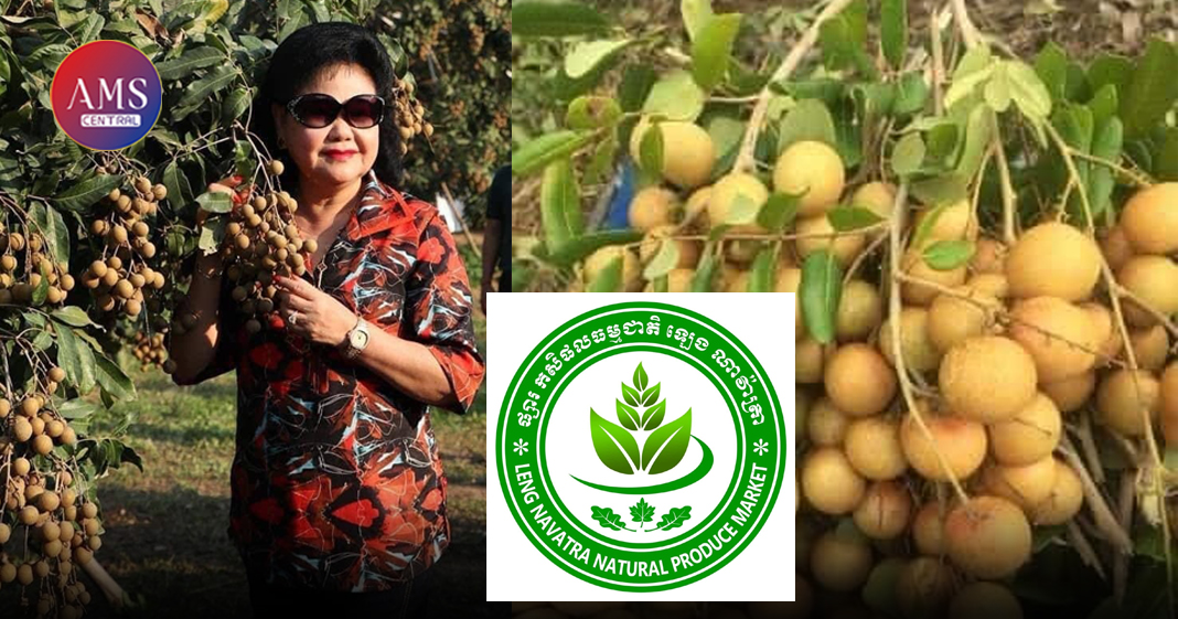 ឧកញ៉ាឡេង ណាវ៉ាត្រា ប្រកាសជួយទិញផ្លែមៀន ១ពាន់តោនពីប្រជាពលរដ្ឋនៅតំបន់ព្រំដែនកម្ពុជា-ថៃ ដើម្បីលក់បន្តក្នុងតម្លៃខាតដើម