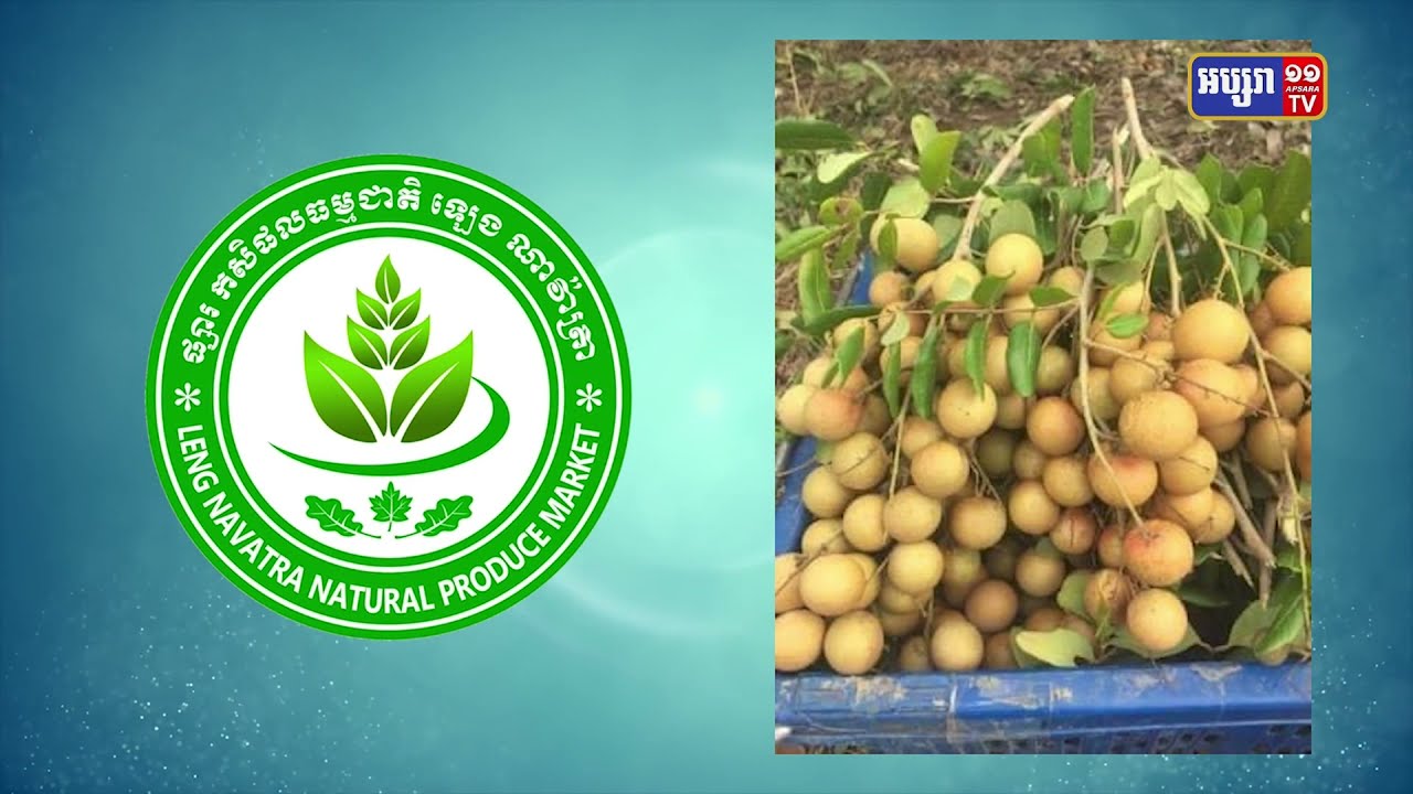ឧកញ៉ា ឡេង ណាវ៉ាត្រា ប្រកាសជួយទិញផ្លែមៀន១ពាន់តោន ពីកសិករ (Video Inside)