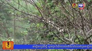 ក្រសួងធនធានទឹក ជូនដំណឹងពីស្ថានភាពធាតុអាកាស​ពីថ្ងៃទី​២៥-​៣១ ខែសីហា, ភ្លៀងនឹងធ្លាក់ពីមធ្យមទៅខ្លាំង សូមប្រុងប្រយ័ត្ន​ចំពោះ​​បាតុភូតផ្គរ រន្ទះ ខ្យល់​កន្ត្រាក់ និងរលកសមុទ្រខ្ពស់ៗ (មានវីដេអូ)
