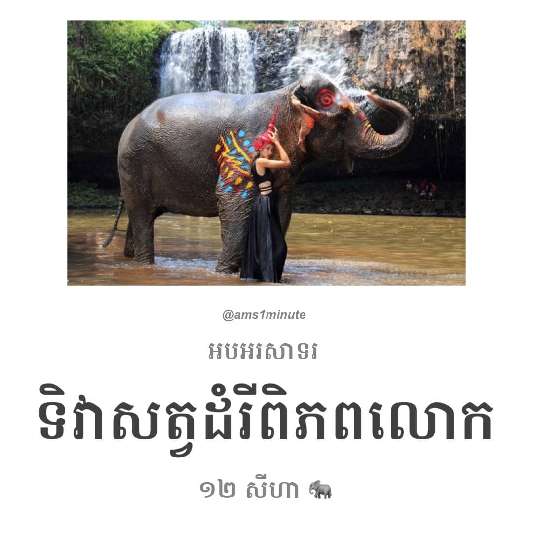 យើងរួមគ្នាការពារ និងអភិរក្សដំរីឱ្យបានគង់វង្ស