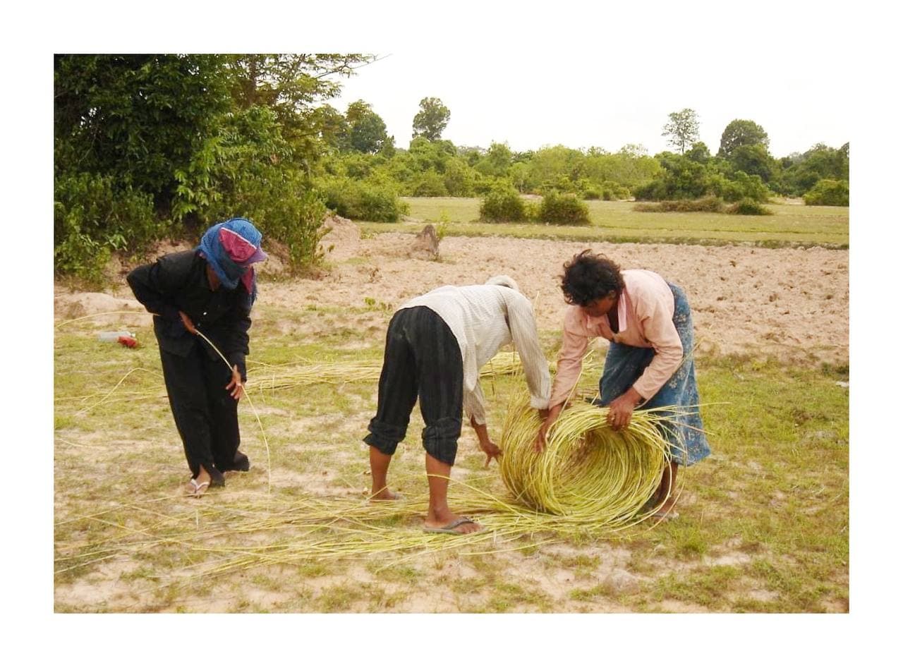 អត្ថប្រយោជន៍នៃល្ពាក់