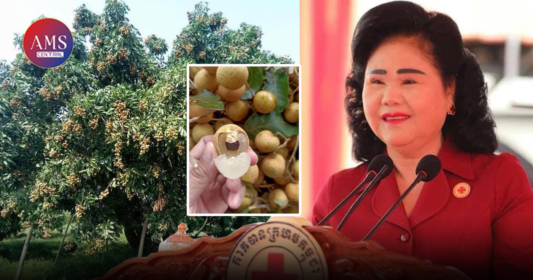 សម្តេចកិត្តិព្រឹទ្ធបណ្ឌិត ប៊ុន រ៉ានី ទិញផ្លែមៀន ចំនួន២១តោន ដើម្បីចែកចាយជូនក្រុមគ្រូពេទ្យ និងអ្នកជំងឺកូវីដ-១៩