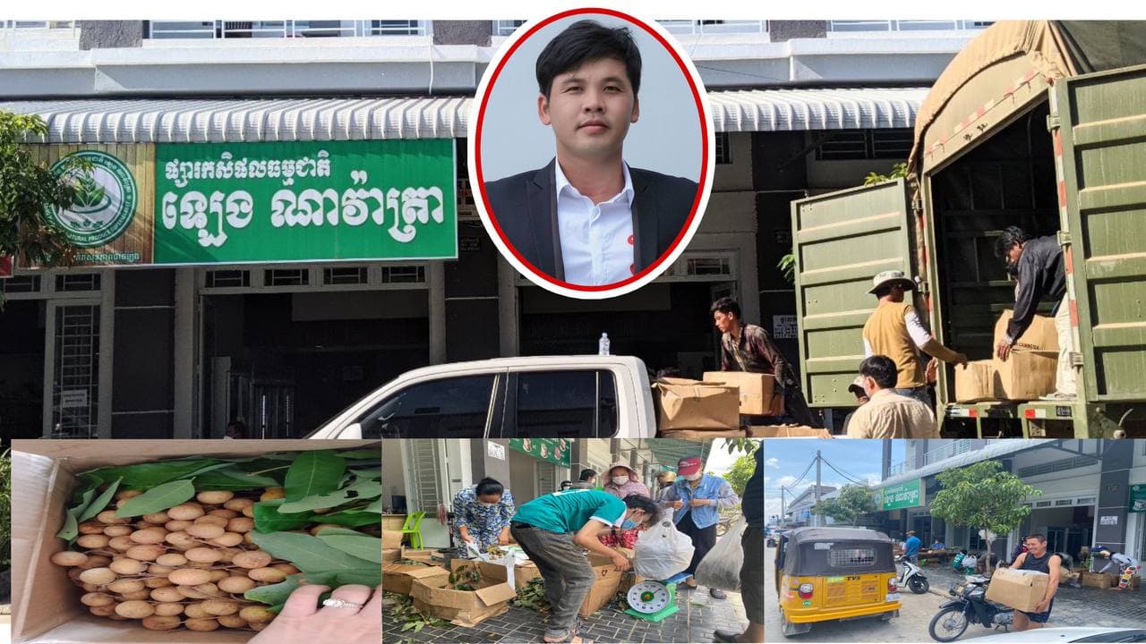 ផ្សារកសិផល ឡេង ណាវ៉ាត្រា ទាំង១៨ទីតាំង ចាប់ផ្តើមចែកចាយផ្លែមៀនប៉ៃលិនជូនដល់អតិថិជន