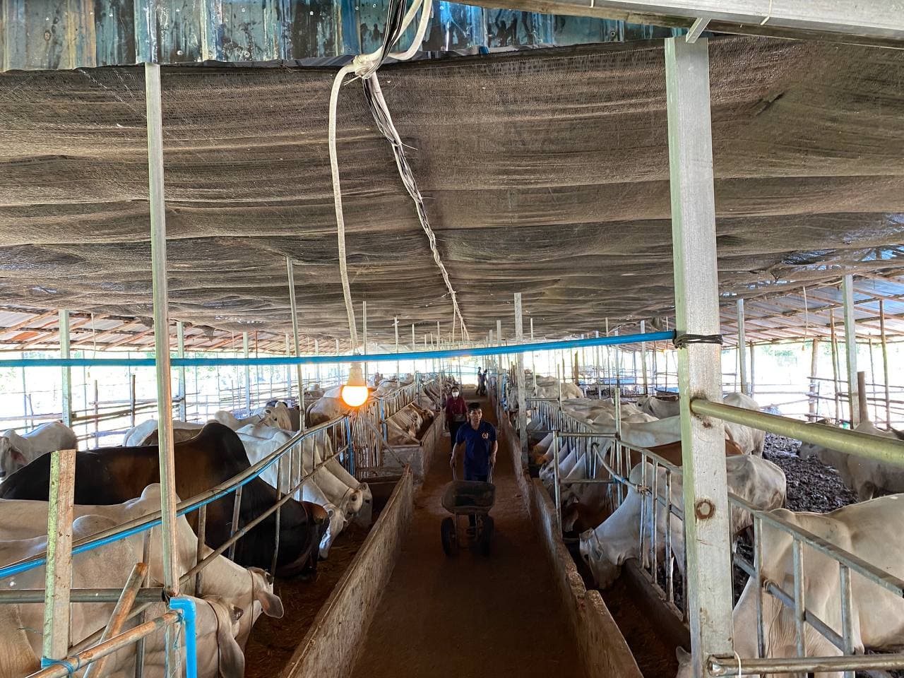 បង្កើតជម្រើសមុខរបរ បង្កើនចំណូលគ្រួសារ និងកសាងភាព ជាសហគ្រិនវ័យក្មេង