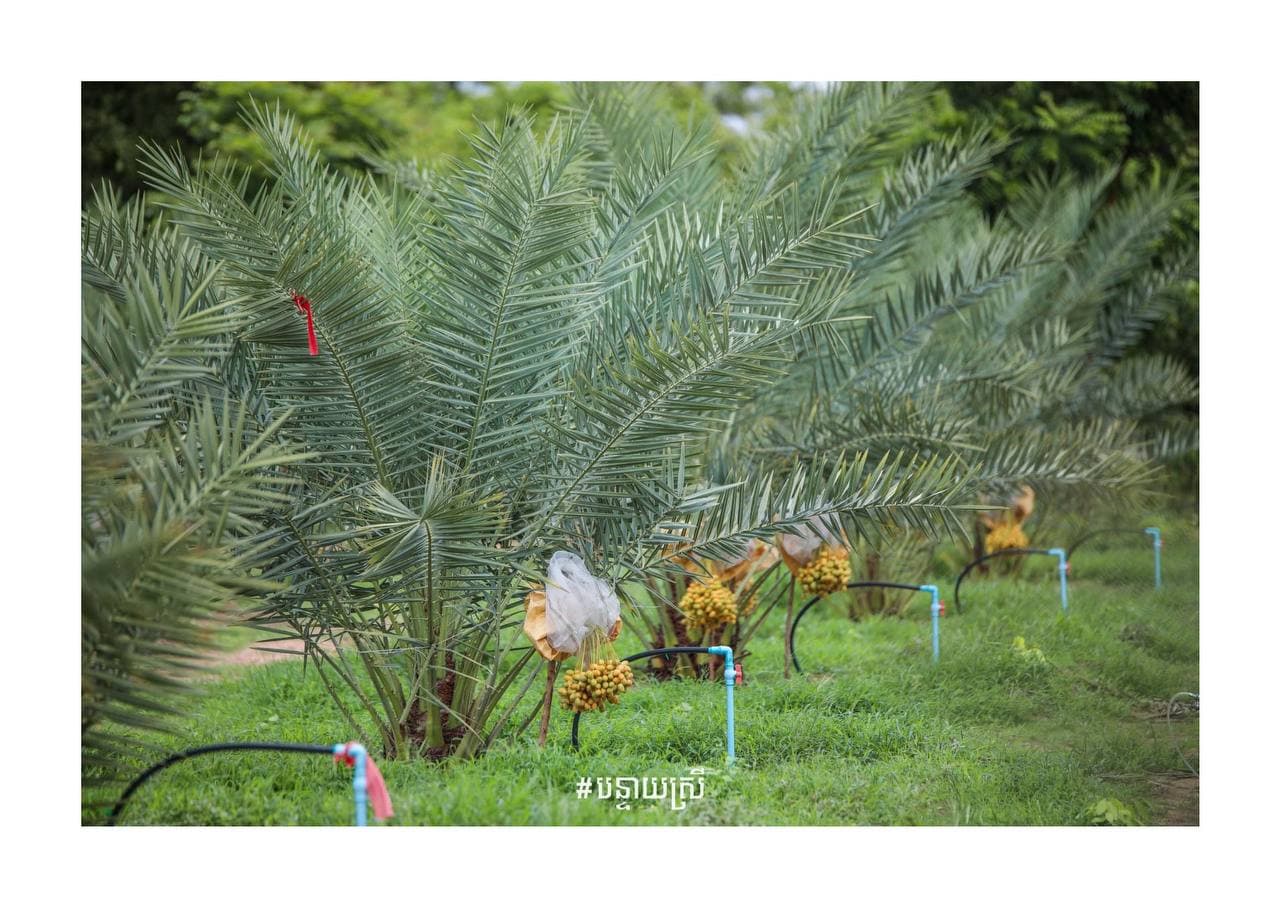 កសិទេសចរណ៍ជាដង្ហើមថ្មីនៃចរន្តសេដ្ឋកិច្ច បង្កើតការងារនិងមុខរបរបន្ថែម ដើម្បីលើកស្ទួយជីវភាពរបស់បងប្អូនប្រជាពលរដ្ឋ កាត់បន្ថយភាពក្រីក្រ ការធ្វើចំណាកស្រុកទៅរកការងារនៅទីកន្លែងដទៃ