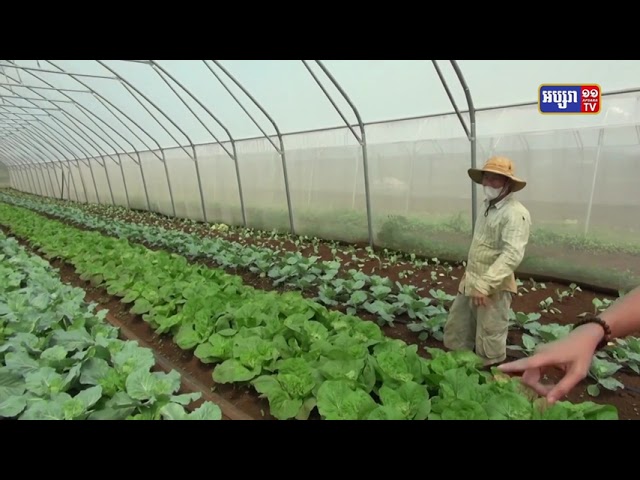 អគារមជ្ឈមមណ្ឌល ប្រមូលផ្តុំកសិផល របស់សហគមន៍កសិកម្ម សាមគ្គីមនោរម្យ ដែលជាជំនួយឧបត្ថម្ភ របស់គម្រោងគូសាណូនិ នៃស្ថានទូតជប៉ុន បានចេញជារូបរាងហើយ (Video Inside)