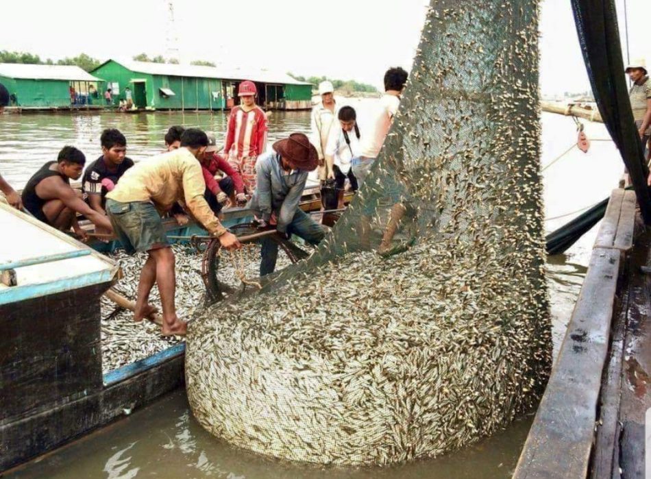 មន្ត្រីរដ្ឋបាលជលផល៖ ប្រជាជនកម្ពុជាប្រមាណ១លាន៥សែននាក់កំពុងប្រកបមុខរបរក្នុងវិស័យជលផល