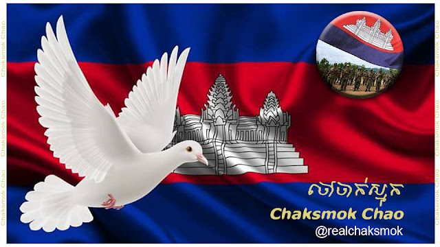 អ្នកវិភាគចៅចាក់ស្មុក៖ សហរដ្ឋអាមេរិកជាគ្រូគង្វាលលទ្ធិប្រជា ធិបតេយ្យ និងសិទ្ធិមនុស្សដែលភ្លេចឆ្លុះកញ្ចក់ ងូតទឹក ដុះក្អែល ព្យាបាល និងវះកាត់ជំងឺខ្លួនឯង (មានវីដេអូ)