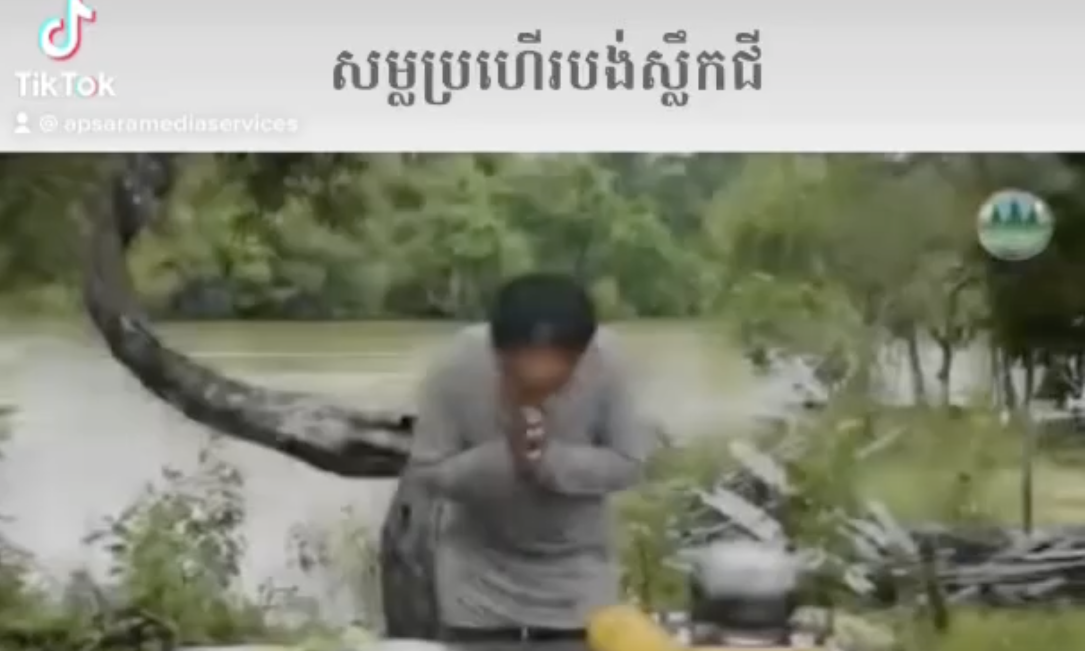 សម្លប្រហើរបង់ស្លឹកជី