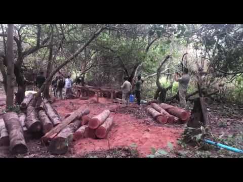 សិប្បកម្មកែឆ្នៃផលអនុផលព្រៃឈើ អនាធិបតេយ្យ នឹងគ្មានច្បាប់​អនុញ្ញាត្ត​ចំនួន​៤កន្លែង ស្ថិតនៅក្នុងស្រុកត្បែងមានជយ័ ត្រូវបាន​សមត្ថកិច្ចចម្រុះបង្ក្រាប​(មានវីដេអូ)