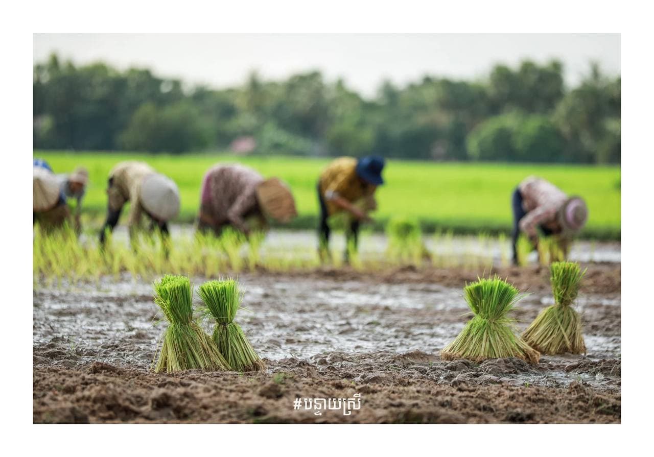 ទិដ្ឋភាពដែលធ្លាប់ឃើញ តែមិនអាចបំភ្លេចបាន