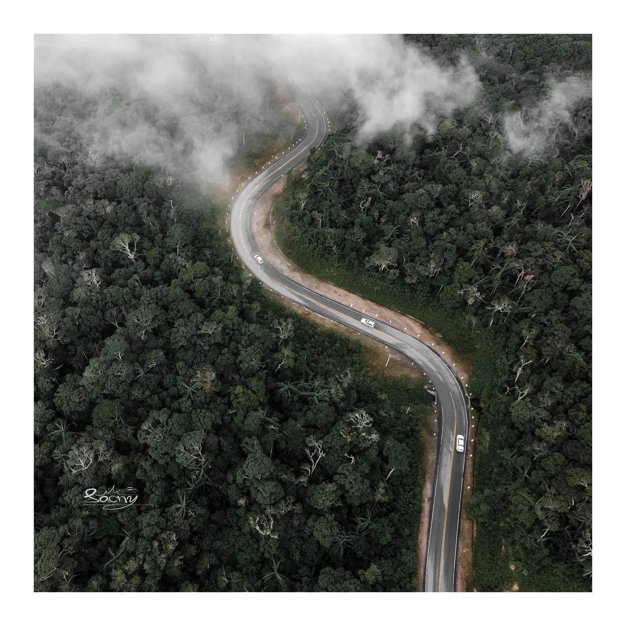 ឡើងទៅឋានសួគ៌បូកគោ 🌱🌲🇰🇭